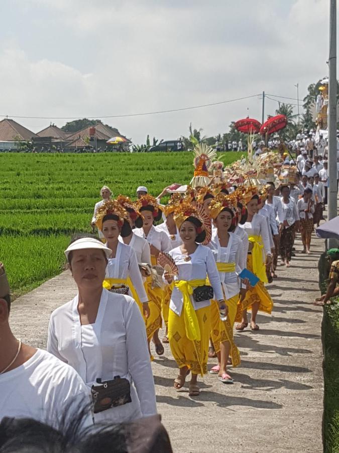 Yogi Homestay Canggu  Luaran gambar