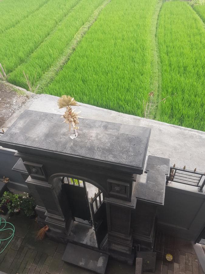 Yogi Homestay Canggu  Luaran gambar